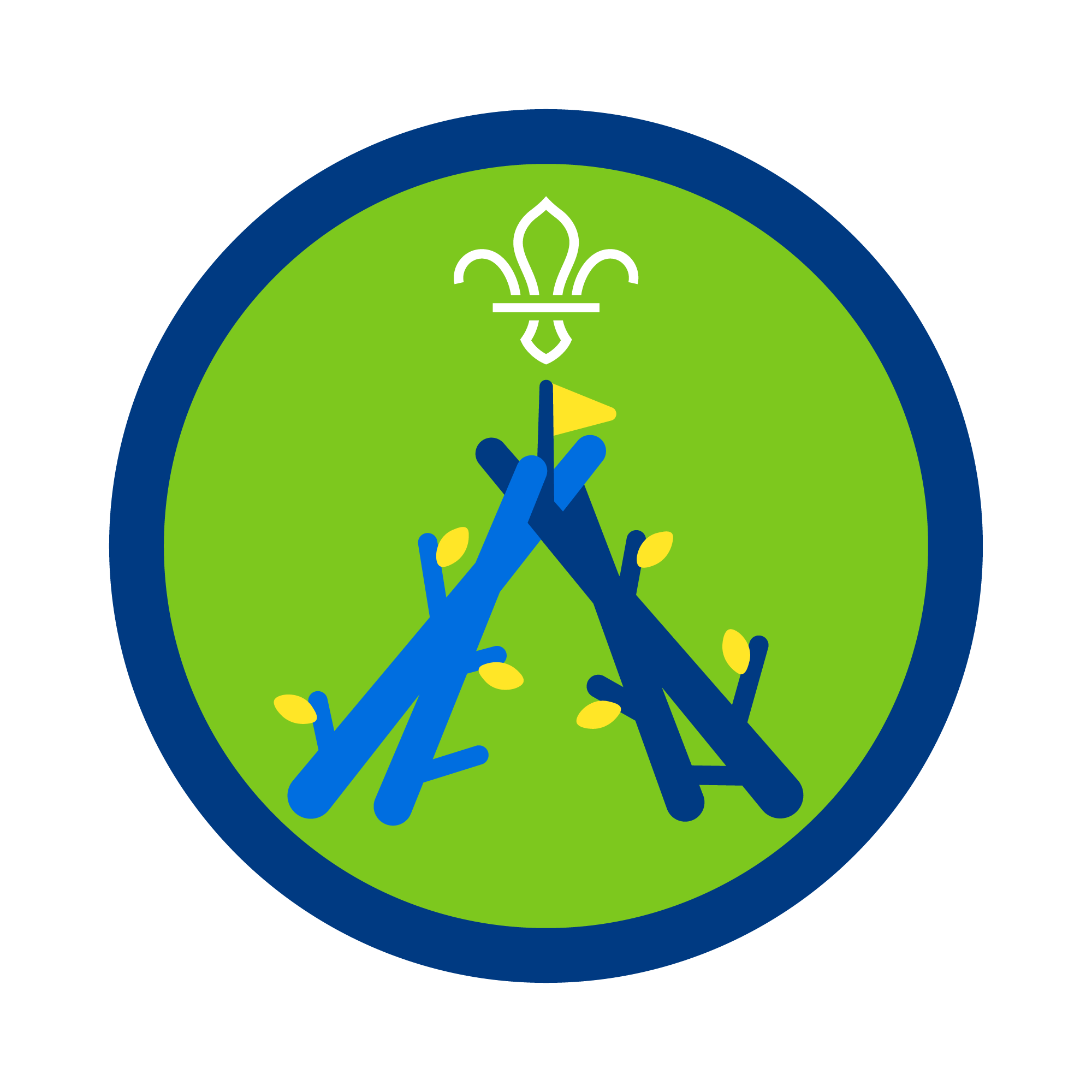 Brilliant Builder Activity Badge - Click For Details